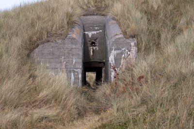 Regelbau 628 i 5./H.K.A.R. 180